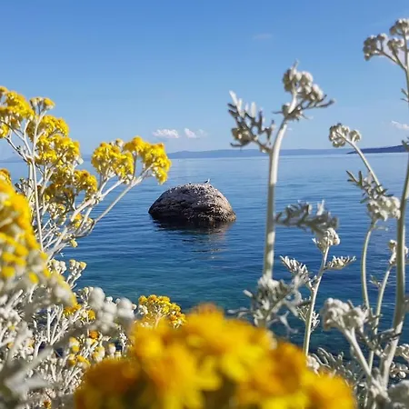 Skalinada With Sea View Daire Brela